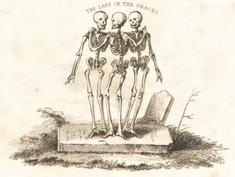 Vignette von drei Skeletten auf einem Grabstein (Gravur)