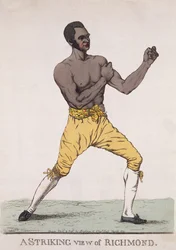 Ein beeindruckender Blick auf Richmond, veröffentlicht 1810