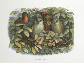 Elf und Eulen