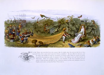 Illustrationen aus 