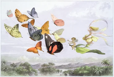 Der Wagen der Feenkönigin, ca. 1870