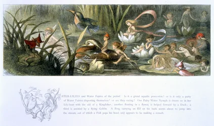 Seerosen und Wasserfeen, Illustration aus 