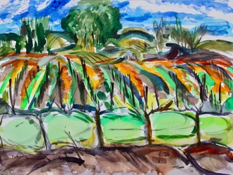 Herbstweinberge, Napa, 2017