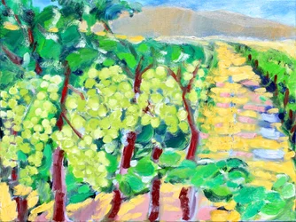 Chardonnay-Trauben, Napa, 2019