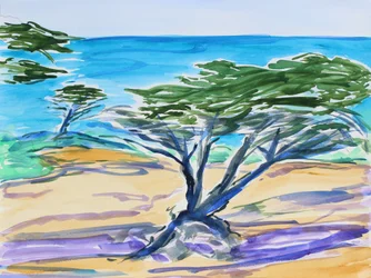 Zypresse, Carmel Bay, 2019