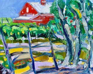 Eukalyptus und Weinberg, Napa