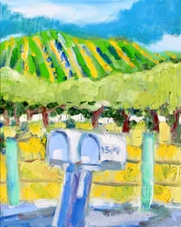Briefkästen und Weinberg, Napa
