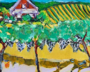 Merlot-Trauben, Napa