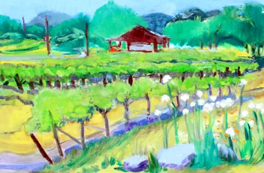 Weinberg auf Zinfandel Lane, Napa, 2019