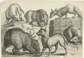 Zwei Bären, zwei Wölfe und zwei Füchse, Tiere nach verschiedenen Künstlern (Serientitel)