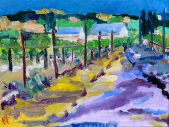 Weinberg außerhalb von Santa Rosa, 2021