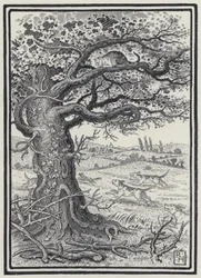 Der Fuchs und die Katze