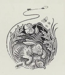 Der Hase und die Schildkröte