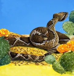 Die Warnung der Klapperschlange, aus 