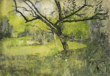 Obstgarten in Eemnes