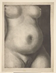 Torso einer schwangeren Frau