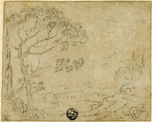 Italienische Landschaft mit Schirmkiefer im Vordergrund