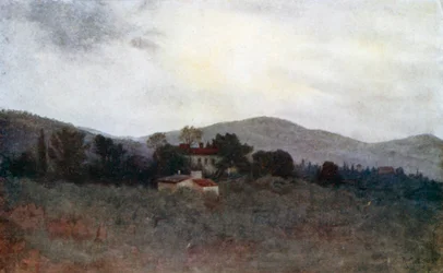 Studie der toskanischen Olivengärten