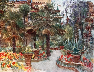 Tulpen und Wisteria im Frühling, im Garten einer florentinischen Villa