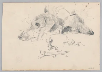 Hund und Löwe