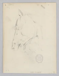 Pferd