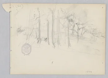 Landschaft