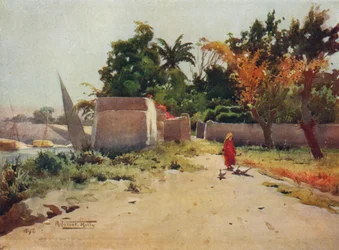 Auf der Insel Rhoda