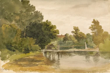 Reflexionen in einem bewaldeten Teich