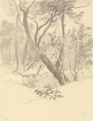 Der Wald