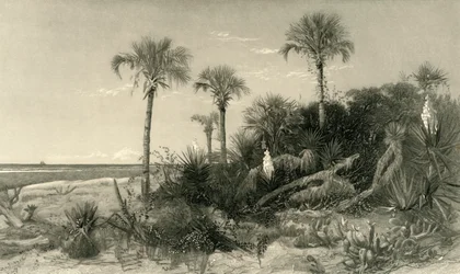 An der Küste Floridas, 1872
