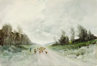 Eine Straße in Northumberland