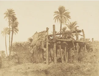 Nubische Sakkieh oder Wasserrad, ca. 1856