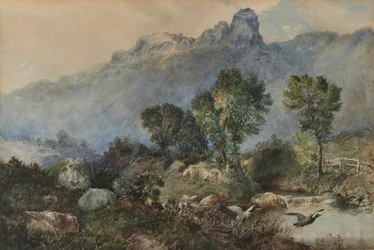 Landschaft mit Stockenten