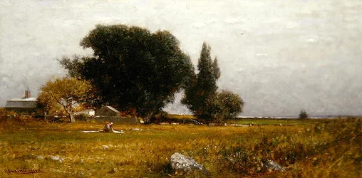 Bäume und Wiese