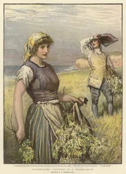 Illustration von 