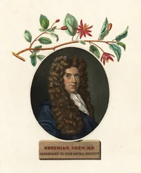 Porträt von Nehemiah Grew, Arzt und Botaniker