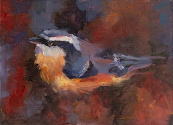 Lustiger kleiner Vogel