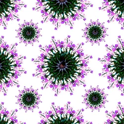 Orchideenwelt