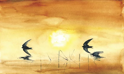 Goldene Stunde Vögel