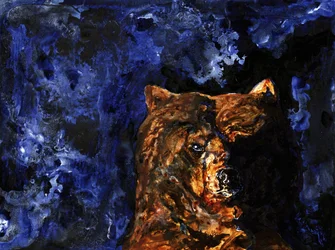 Mächtiger Grizzlyblick