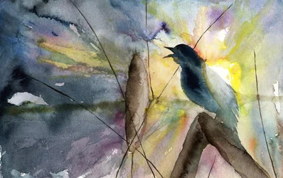Singender Vogel im Sonnenaufgang