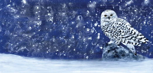 Verschneiter Abend 60 x 28