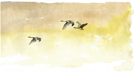 Aquarell Gänseflug