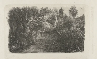 Landschaft mit Bach und Bäumen an den Ufern