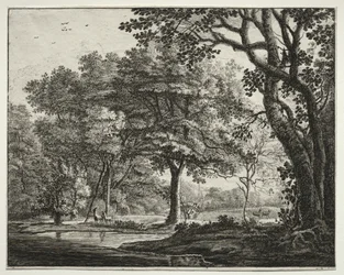 Sechs Ansichten im Wald von Den Haag: Platte 6, Zwei Hirsche