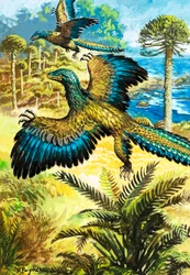 Archaeopteryx