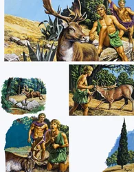 Legenden des antiken Griechenlands: Der Baum der Trauer