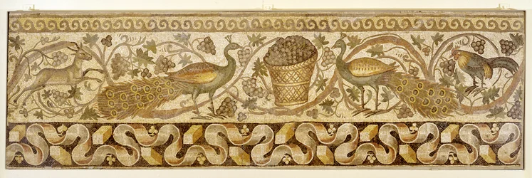Mosaik einer Weinrankenbordüre mit Pfauen, Antiochia, 526-540