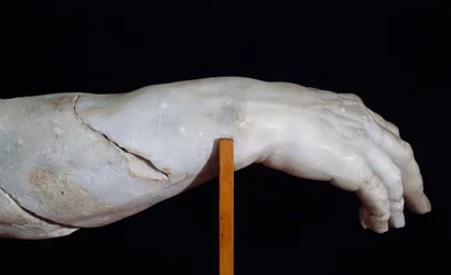 Polyphemus