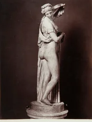 Die Venus Callipigia